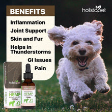 Load image into Gallery viewer, HOLISTAPET - HEMP OIL FOR DOGS &amp; CATS